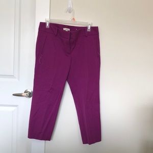 Anne Taylor Loft Size 6P Marisa Cropped pants